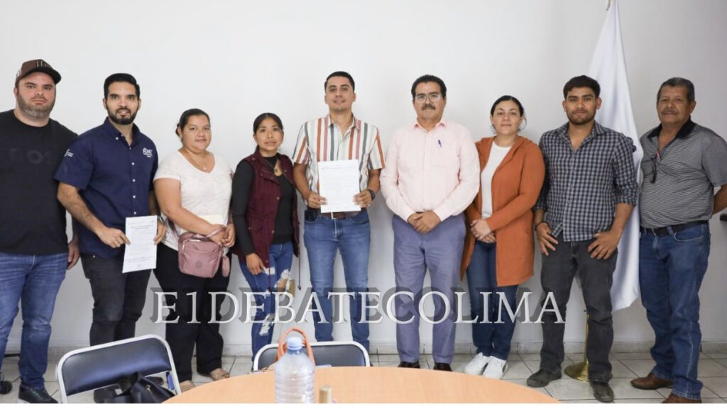 instories_21488767-a958-4e00-9949-233cd67741f7-1.jpg