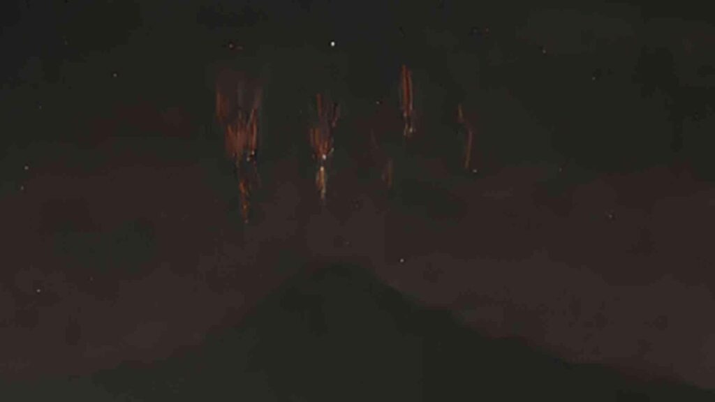 521421616_1357808309044559_8690635913489728010_n