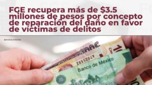 instories_87330205-a71b-4fdd-8c51-27d1b001ff6e-1.jpg