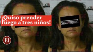 instories_6d729622-5daa-425d-80a3-bc327a4fa405.jpg
