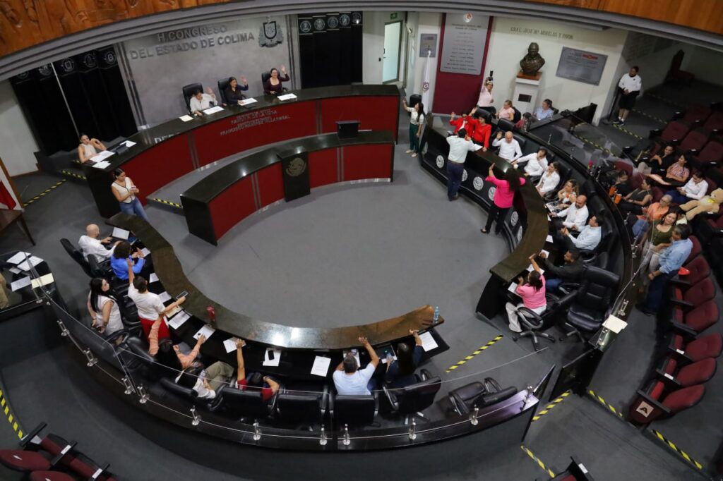 WhatsApp Image 2026-02-19 at 09.23.05